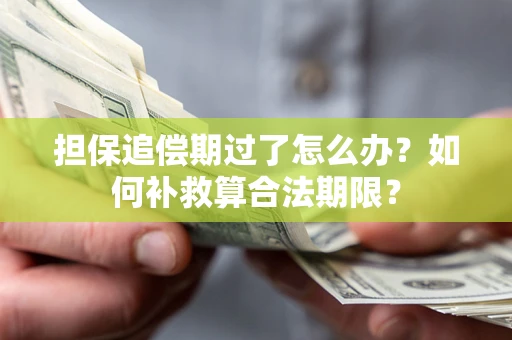 济南担保追偿期过了怎么办？如何补救算合法期限？