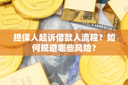 济南担保人起诉借款人流程？如何规避哪些风险？